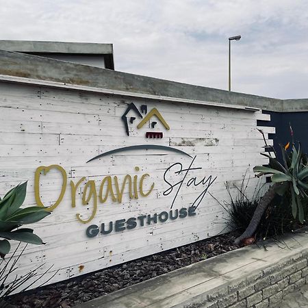 Organic Stay Guesthouse Суакопмунд Екстериор снимка